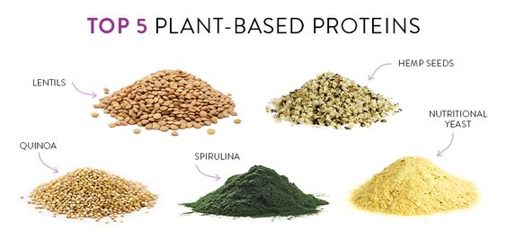 What are the best Plant-Based Proteins?