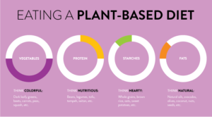 Plant based diet foods