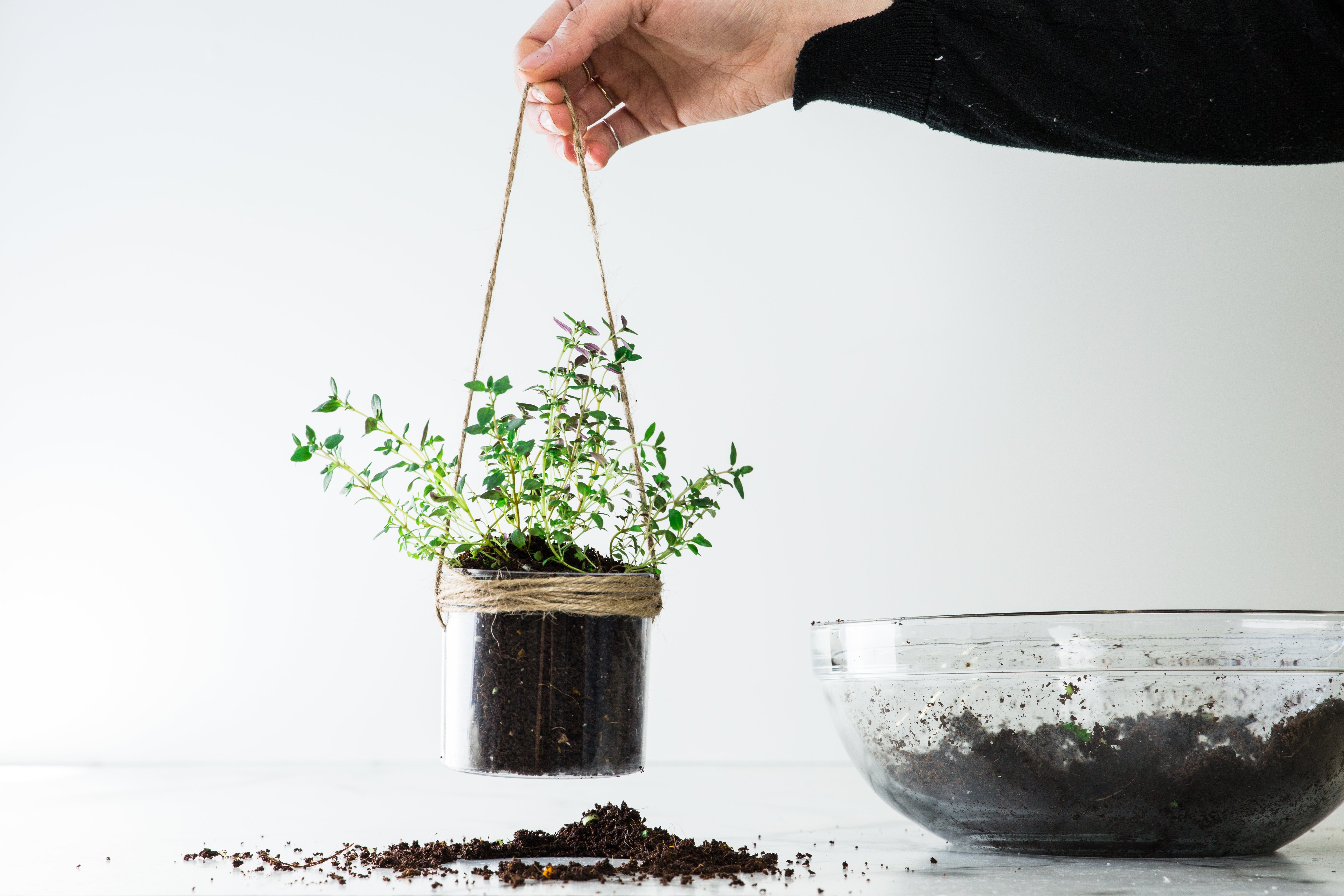 upcycle your meal kit packaging - terrarium