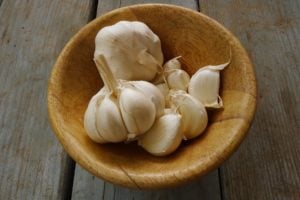 health benefits of garlic