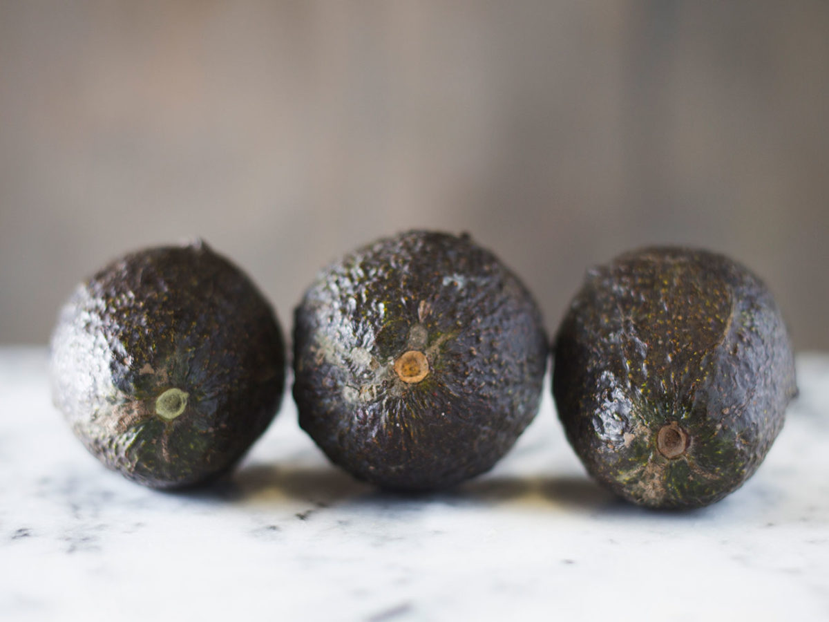 How To Easily Tell When an Avocado is Ripe - avocado