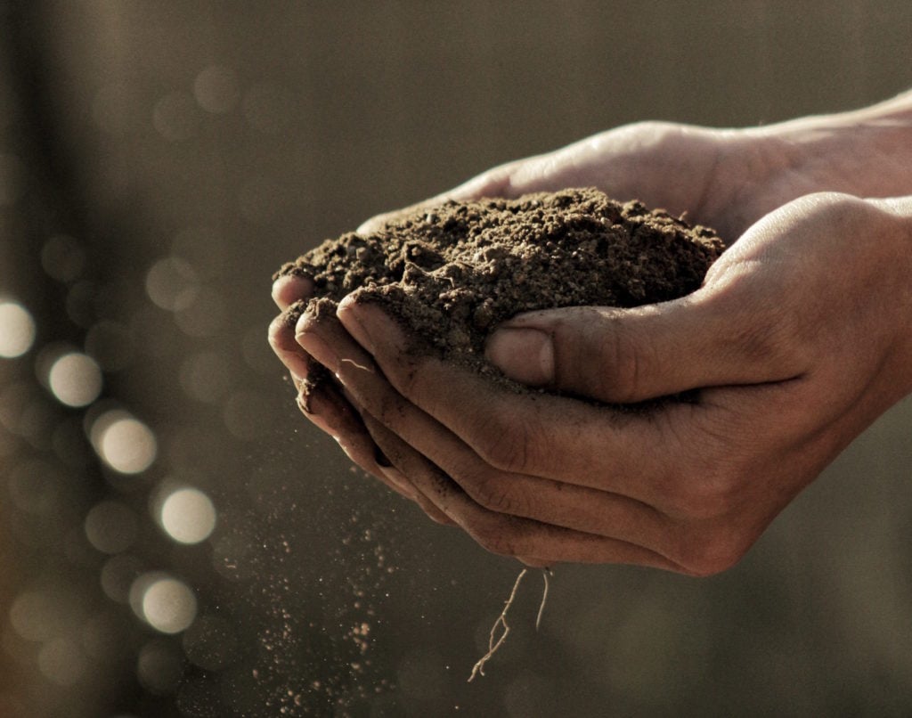 composting in a city