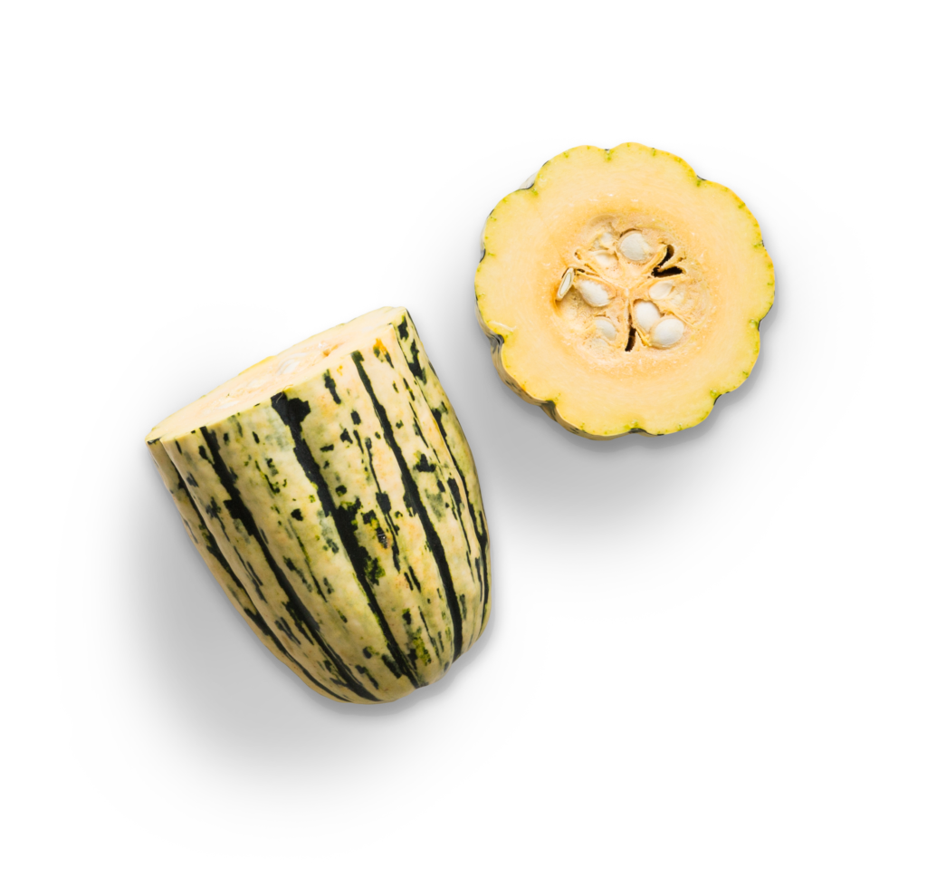 delicata squash