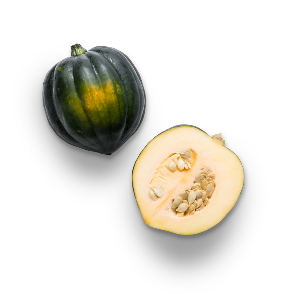 acorn squash