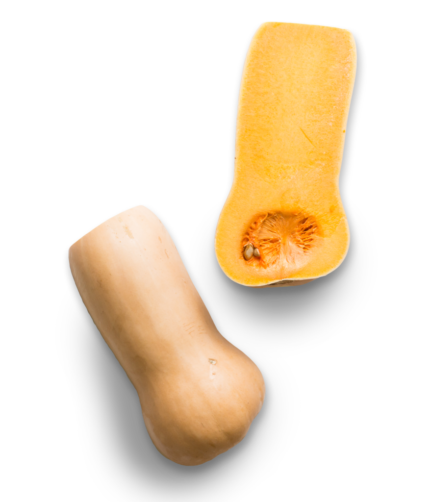 BUtternut squash