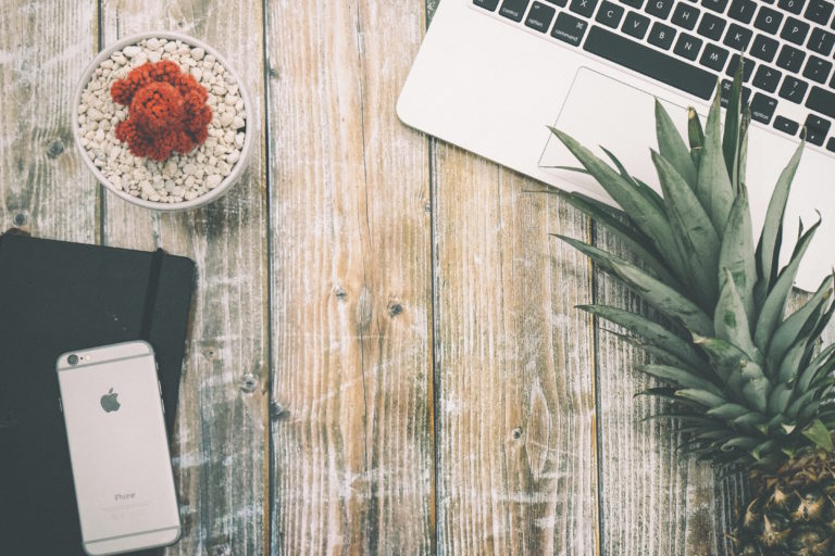 Our 8 Favorite Vegan Online Resources