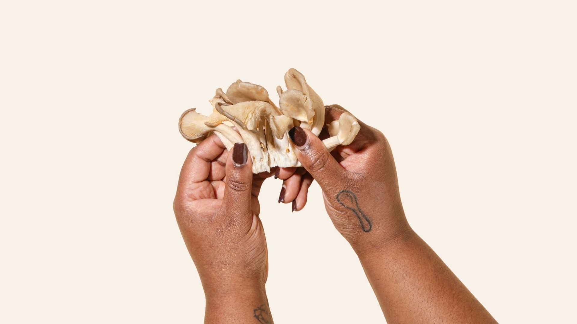 A set of hands with manicured nails holds an oyster mushroom, showcasing its texture.